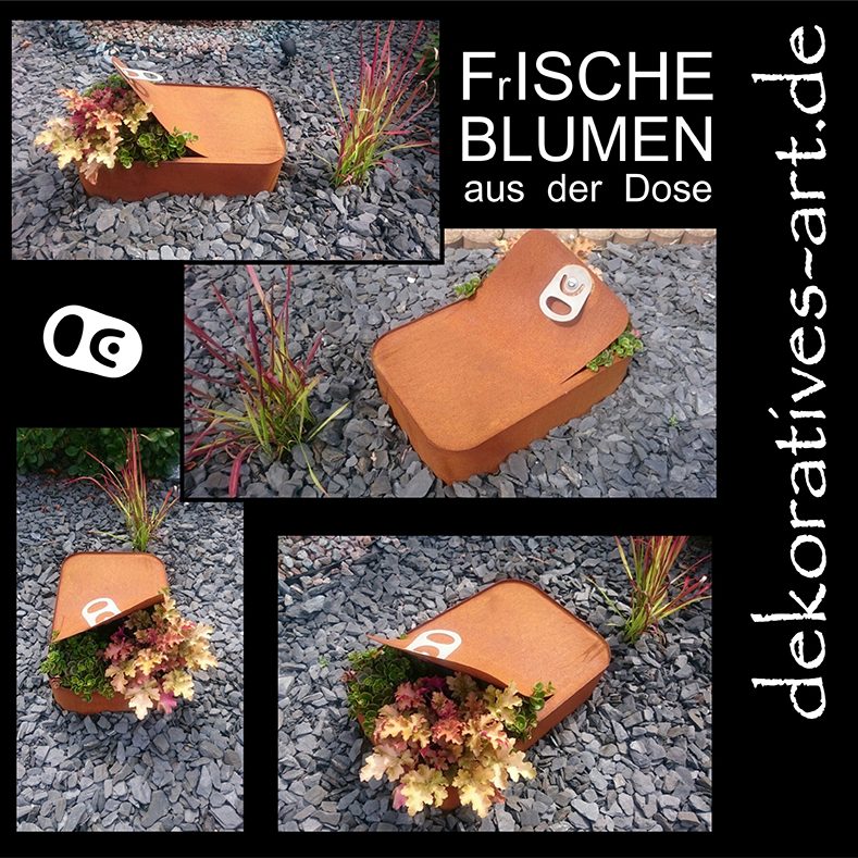 Frische Blumen aus der Dose dose metall stahl individuell und aufs maß Kunden garten dekoratives Unterknöringen Rost Deko Burgau